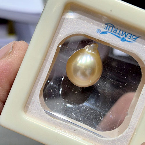 South Sea Yellow Pearl/Moti/Mukta - Best Quality